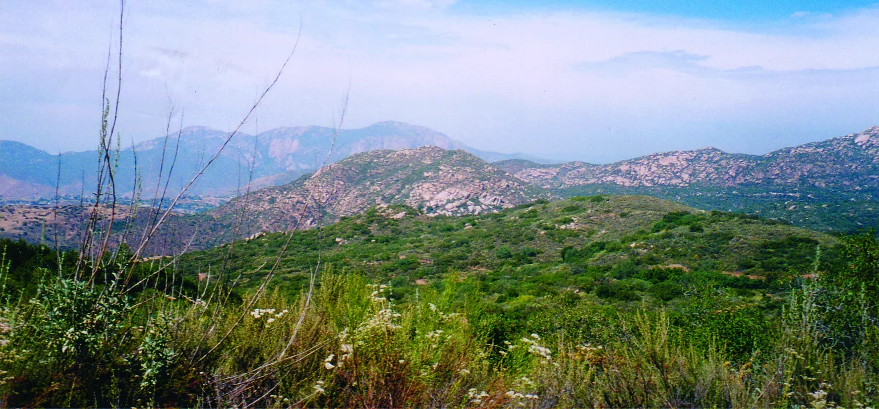 A wide view of coastal sage scrub hills in San Diego County